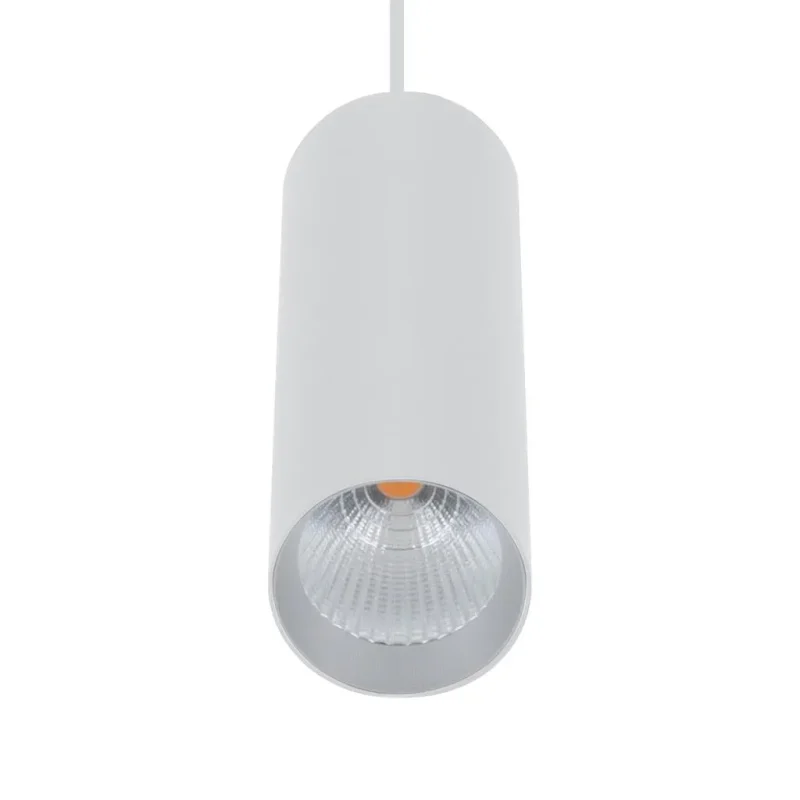 10w 5000k white led pendant light